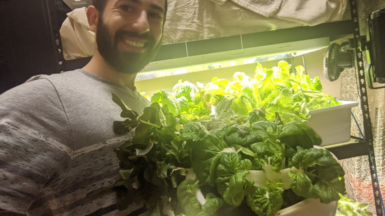 HARVEST TIME | Grow Your Own Fresh Food In Just 30 Days!!!