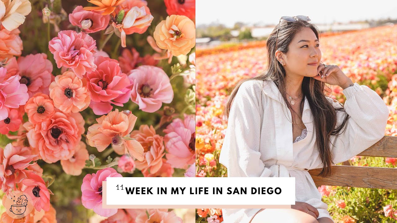 Vegan Eats, Flower Fields, Hiking San Diego | Week in My Life Vlog