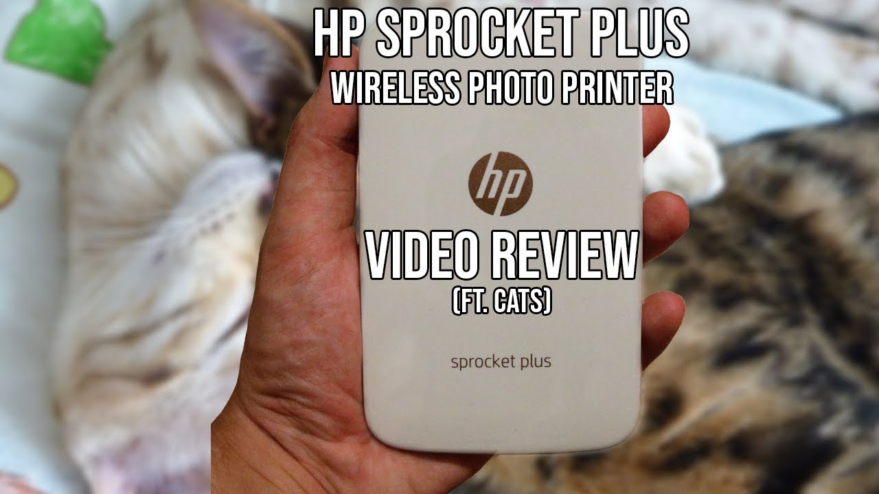 HP Sprocket Plus Video Review