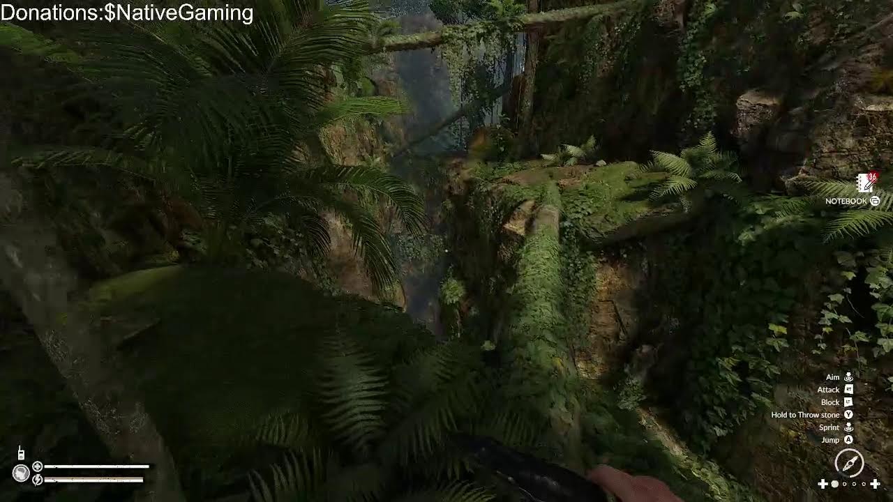 Starting the story (Green hell day 6)