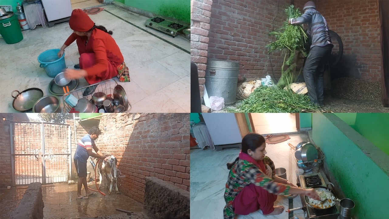 इतना खर्चा और कड़ी मेहनत करने के बाद मिलता है हमें ये घर का देसी टॉनिक shraddha shree vlogs