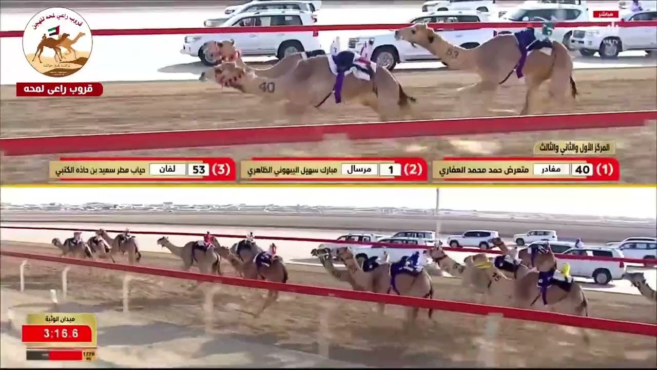 الشوط 10..العفريت لـ عوض مبارك سعيد المهيري 5:46:08( مهرجان ختامي الوثبة 2026 )