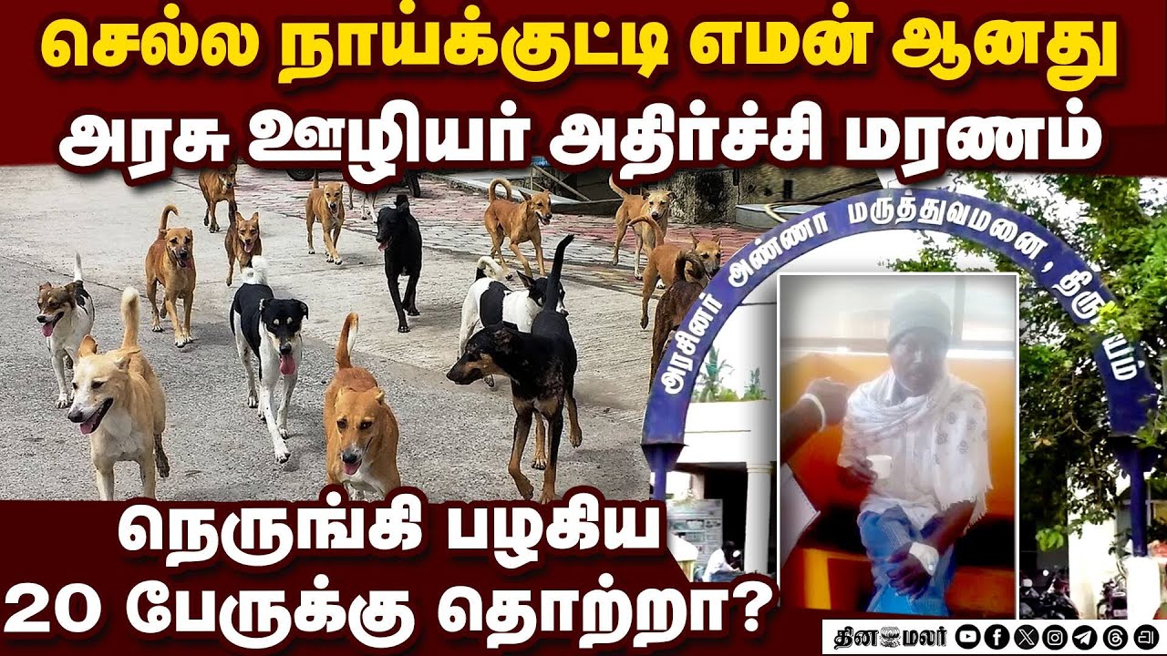 நாய்க்குட்டிதானே என அலட்சியம் மின் ஊழியர் மரணம்: பகீர் தகவல் dog bite puppy minor dog TNEB dies rabi