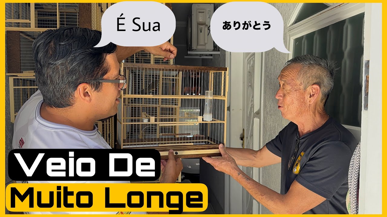 JAPONES VAI CRIAR COLEIRO PAPA-CAPIM