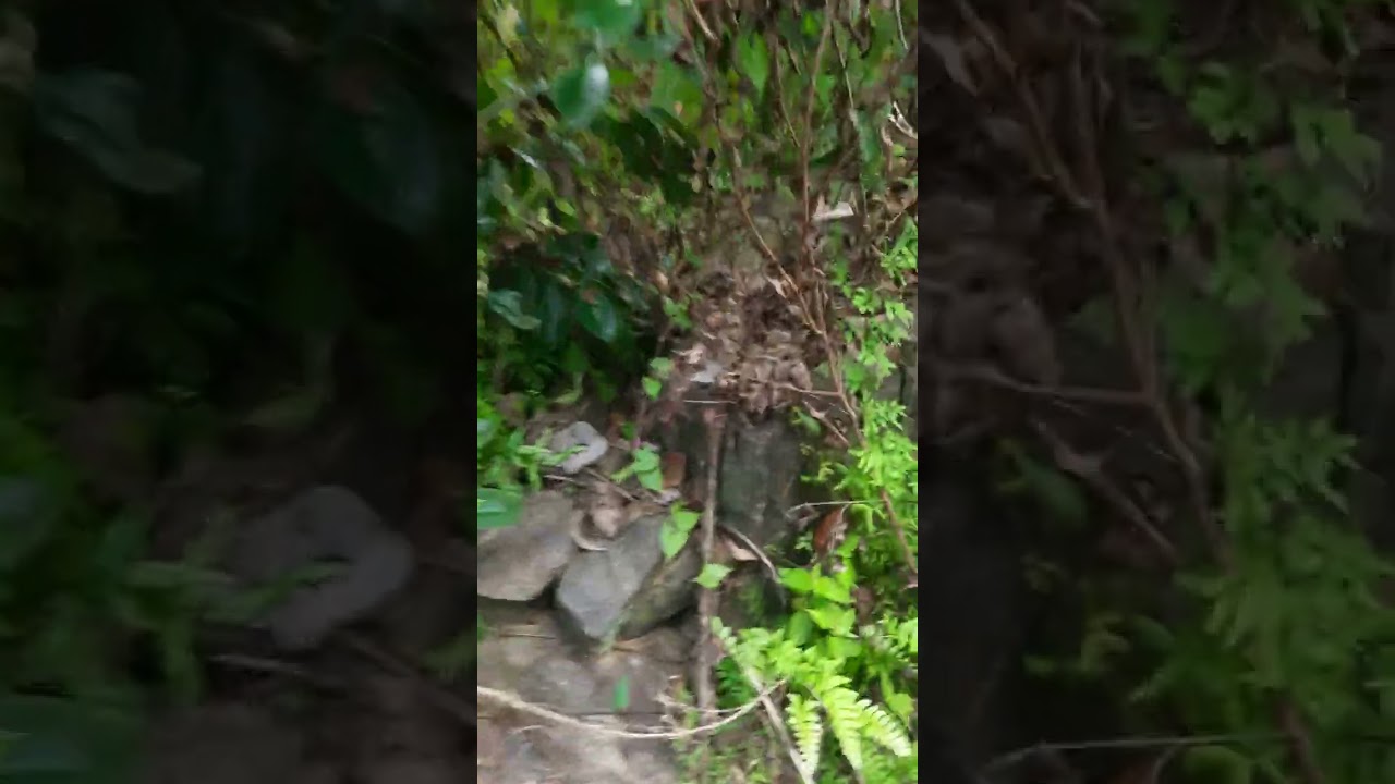 අක්කර බාගයක් සමග නිවසක් ලක්ෂ 10
