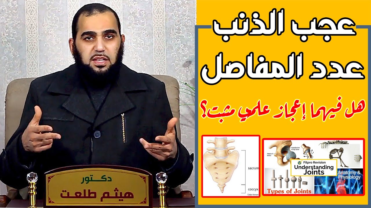 حديث عجب الذنب وحديث عدد المفاصل : هل فيهما إعجاز علمي مُثبت؟