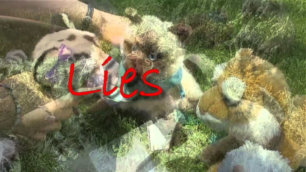 Webkinz Music Video: Unbreakable Heart