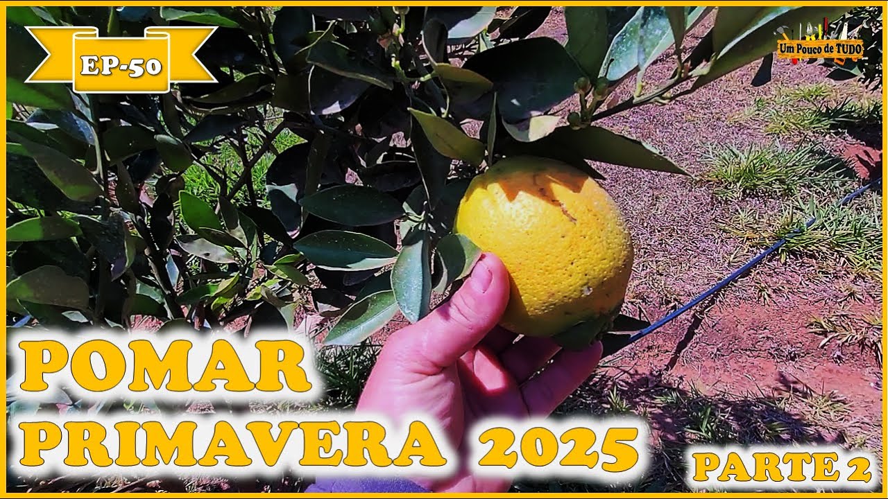 Atualização do Pomar PRIMAVERA/2025 - Parte2 [ Mini Chácara EP-50 ]