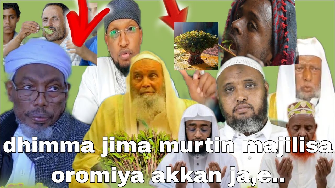 Dhimmi jimaa shekkan gurgudda wal dhabsisa jira Dhimma kanarrati murtin majilisa oromiya akkana..