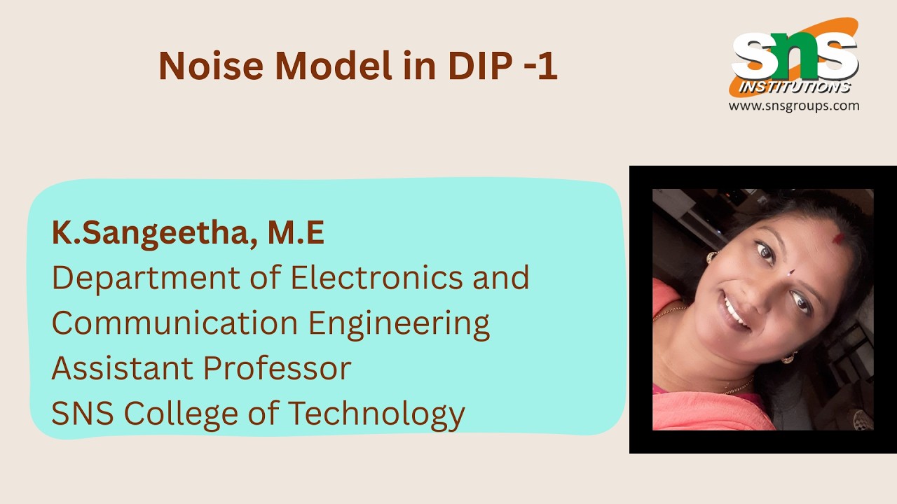 Noise Model 1 | DIP | SNS Institutions