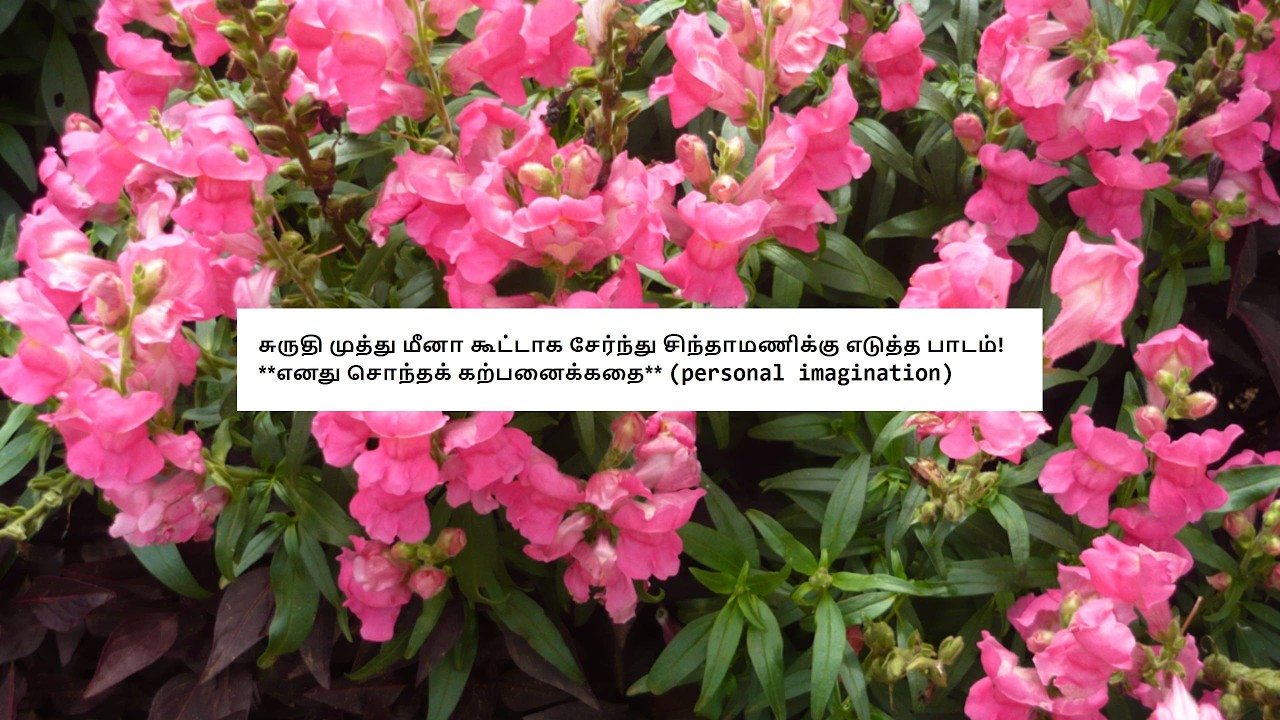 Siragadikka Aasai - 16th to 21st February 2026 - Promo Review 2 #siragadikkaaasai  Tamil - Vijay TV