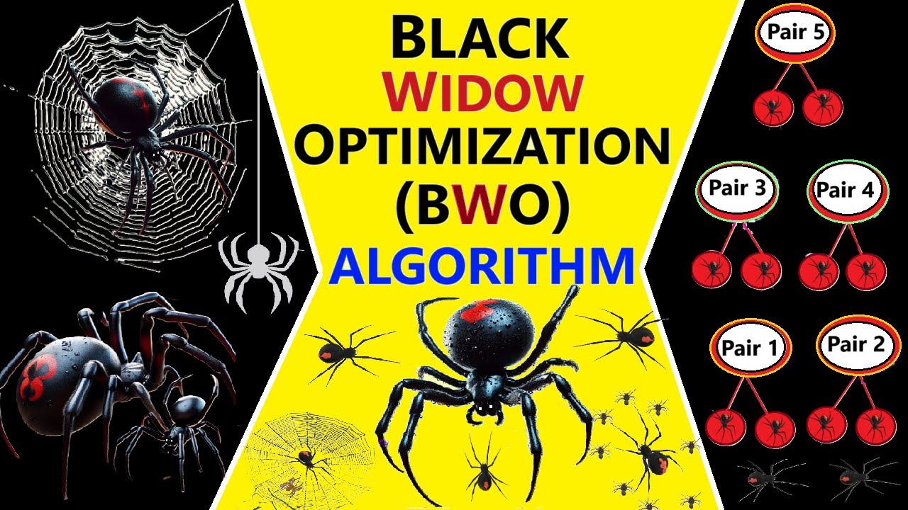 Алгоритм оптимизации Black Widow (BWO) || Пошаговое руководство || ~xRay Pixy