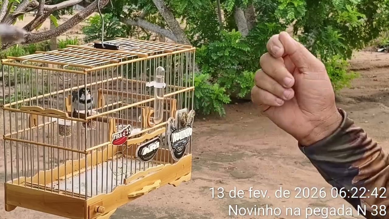 13 de fevereiro de 2026