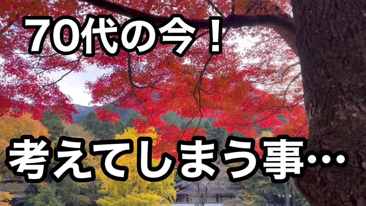 【70代の日常】ひとり暮らし。予定が何もない貴重なフリーの日。思い立って青梅市の御岳渓谷まで紅葉を見に行きました。静けさの中、川の流れる音、鳥のさえずりの中で静かに自分と向き合うことが出来ました。