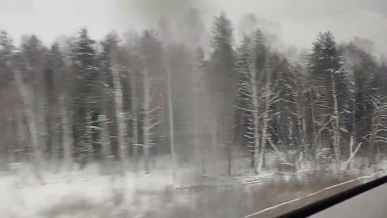 Тверь прибытие. Поезд № 770 