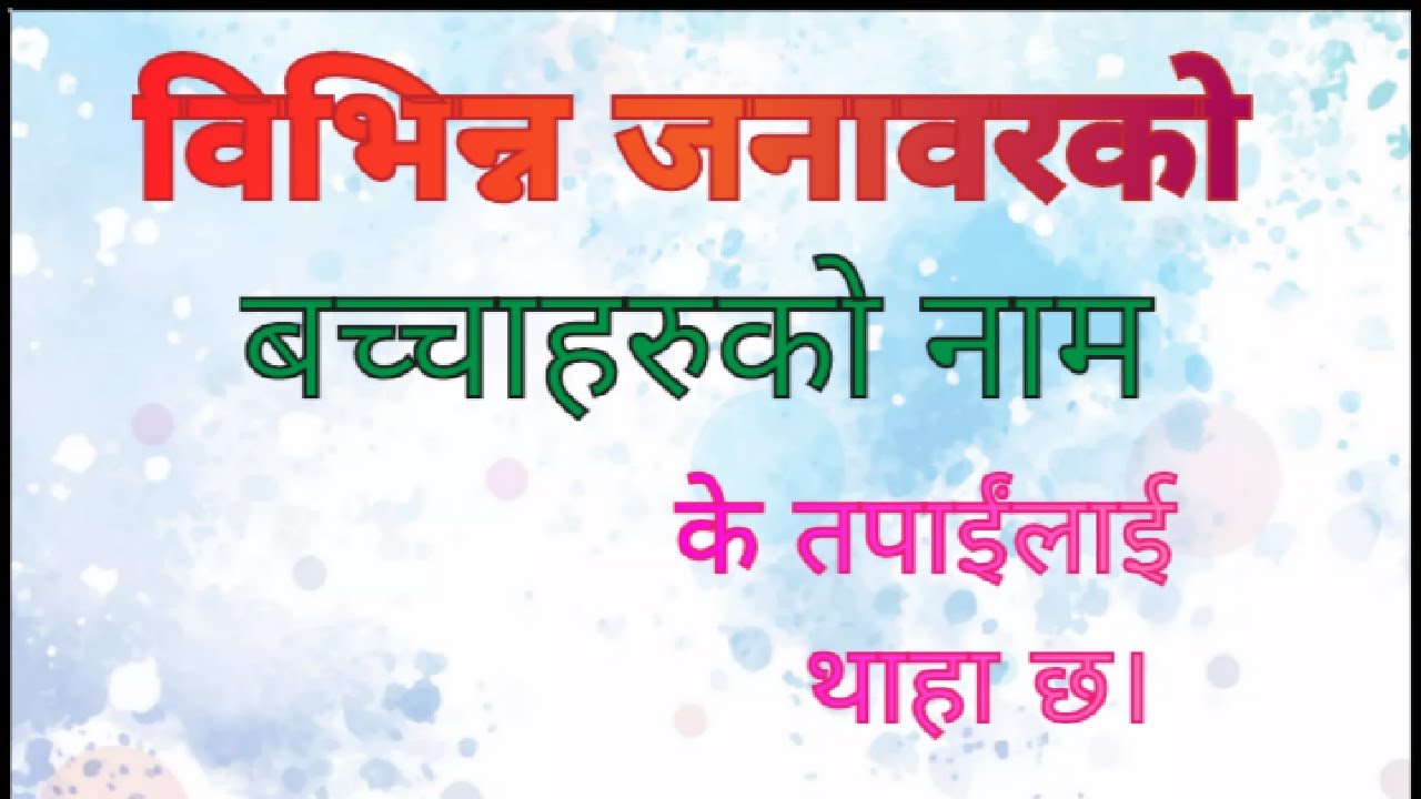 विभिन्न जनावरकाे बच्चाहरुकाे नाम (animals' child Name) के तपाईंलाई थाहा छ। #msenepal