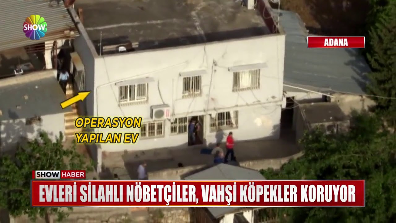 Evleri silahlı nöbetçiler, vahşi köpekler koruyor