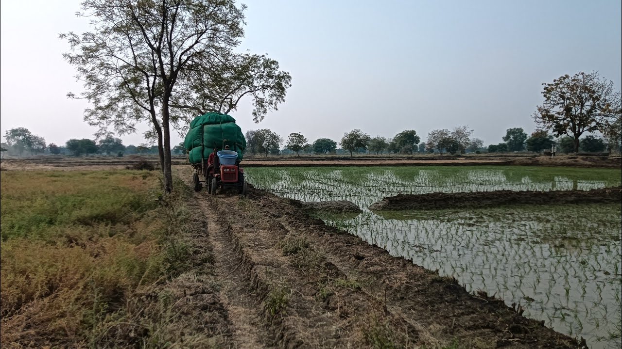 🔴 खेड्यातील सुखमय जीवन, खेड्यातील आनंद कसा असतो ते व्हिडिओमध्ये नक्की पहा 🙏💯❤️✅