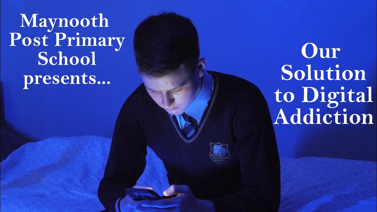 Maynooth Post Primary School's Entry to Euroscola 2024