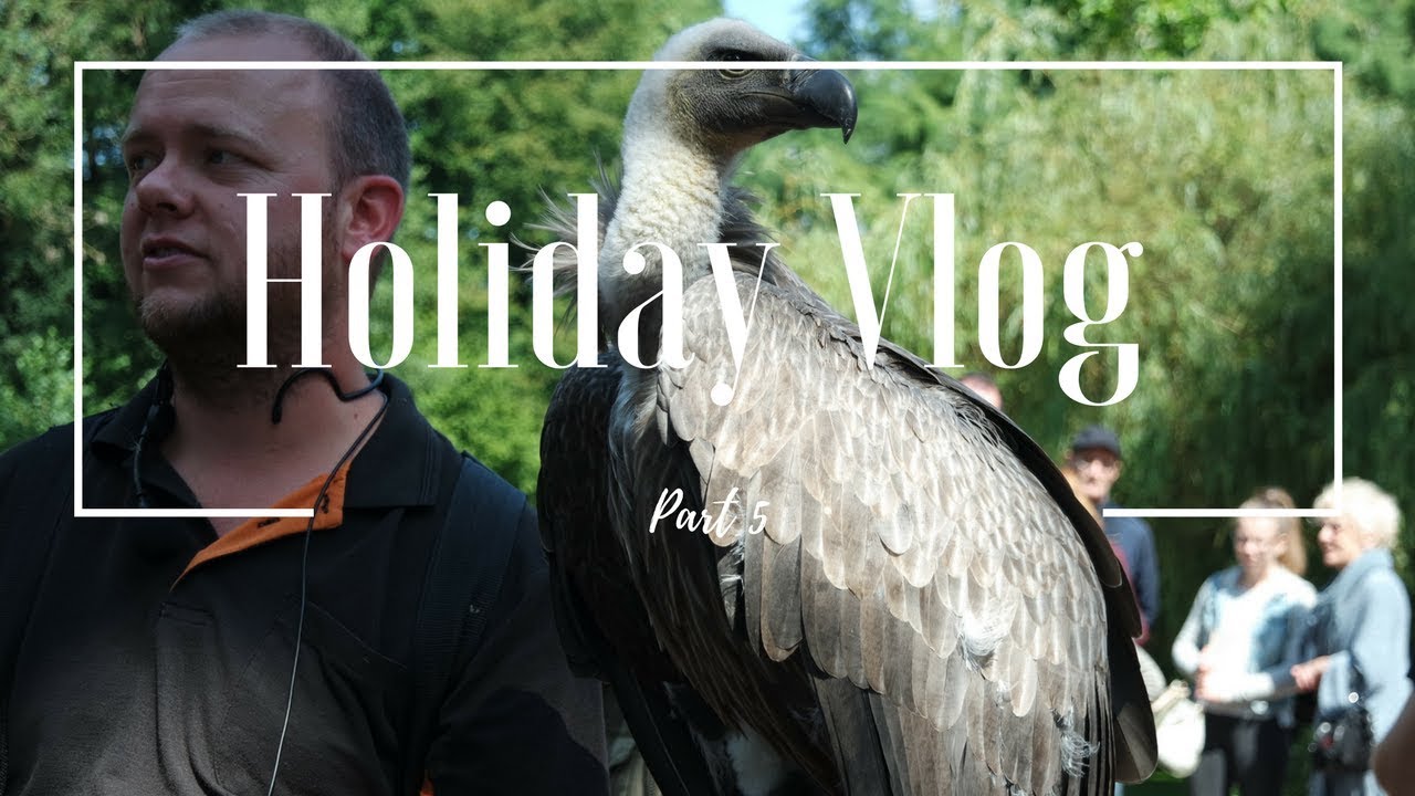 Shawwsome Holiday Vlog Part 6 - B I R B