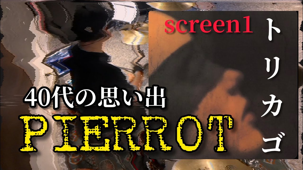【Pierrot カバー】screen1 トリカゴ 叩いてみた【40代の90年代V系カバー】