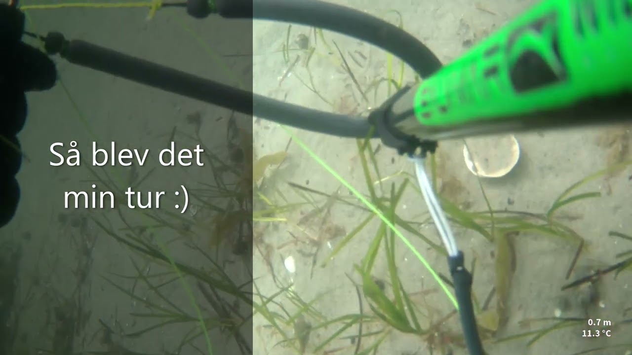 UV-Jagt 2023 er skudt i gang :) #UVjagt #spearfishing