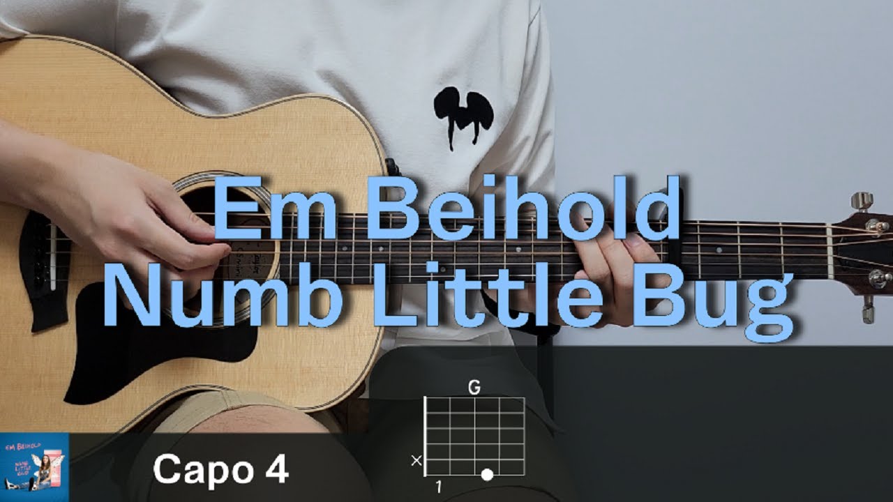Em Beihold - Numb Little Bug 기타 코드, 커버, 타브 악보 l Guitar cover, Acoustic, Chord, Tutorial