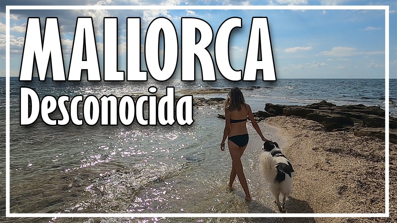✅ 7 IMPRESCINDIBLES Que NO te puedes perder en PALMA de MALLORCA | Qué ver y hacer en un día 🔝