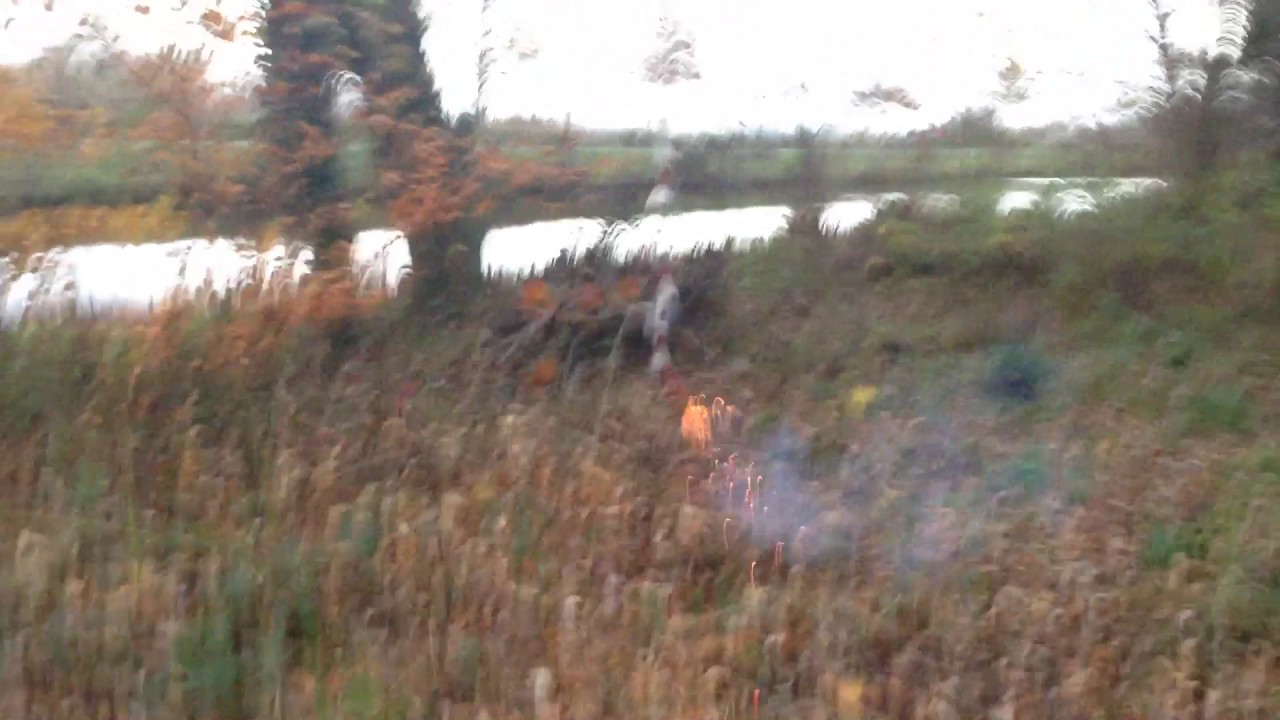 Crackling chain firework!