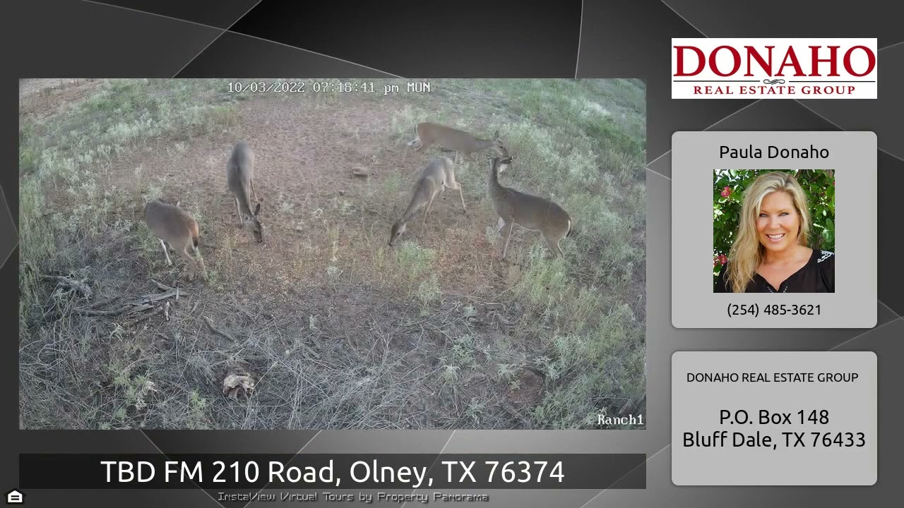 40+ Acres with Wildlife & Trees in Olney, Texas in Young County 1