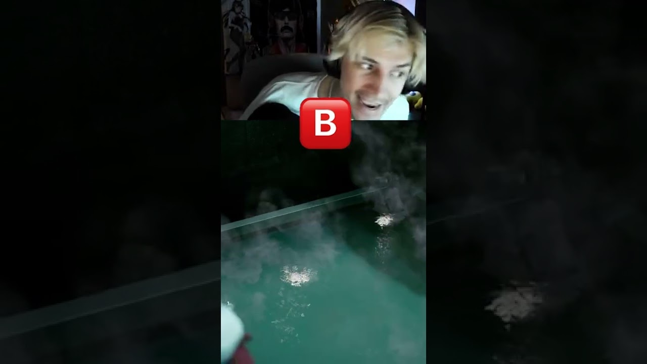Wtf is a 🅱️??? #xqc #xqcow #xqcowclips #xqcl