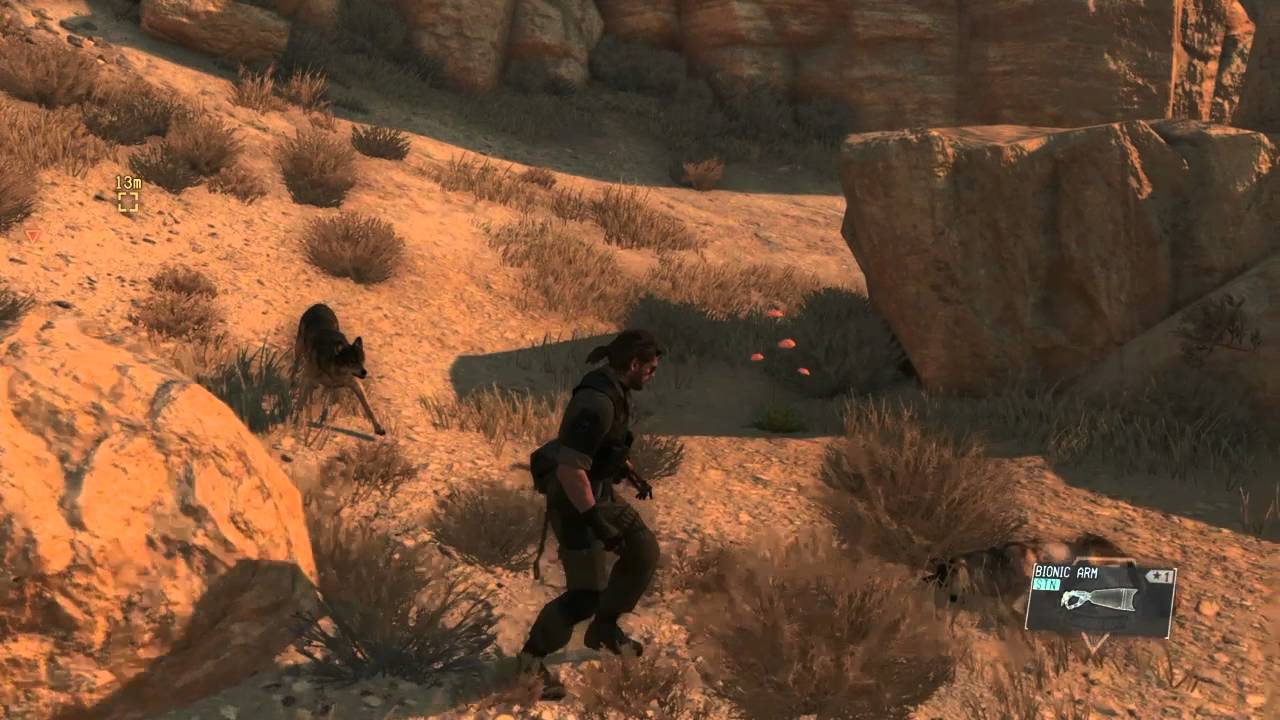 Metal Gear Solid 5 - C2W Subsistence (S rank Perfect Stealth, all mission tasks)