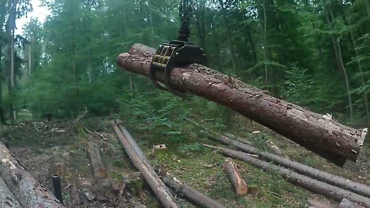 Ponsse Buffalo Part 27