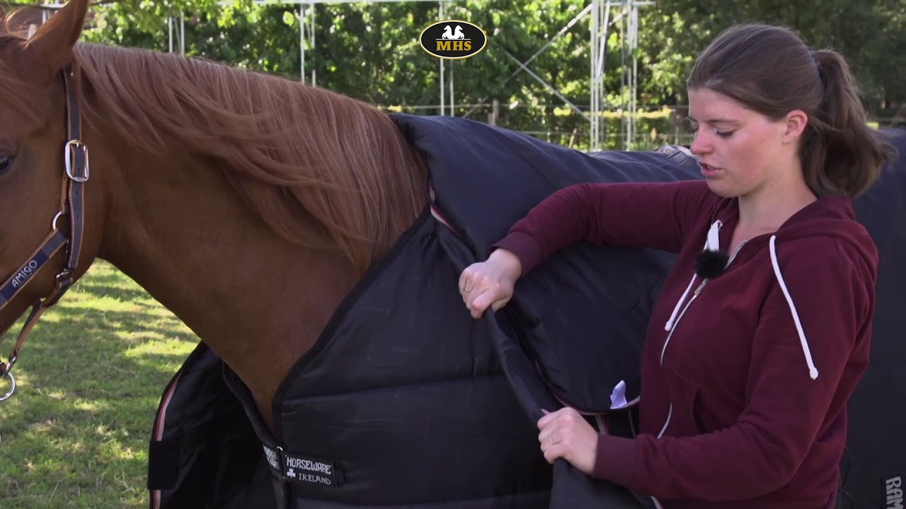 Horseware | Rambo Optimo Turnout 0G Outer & 150GHood, 400G Liner