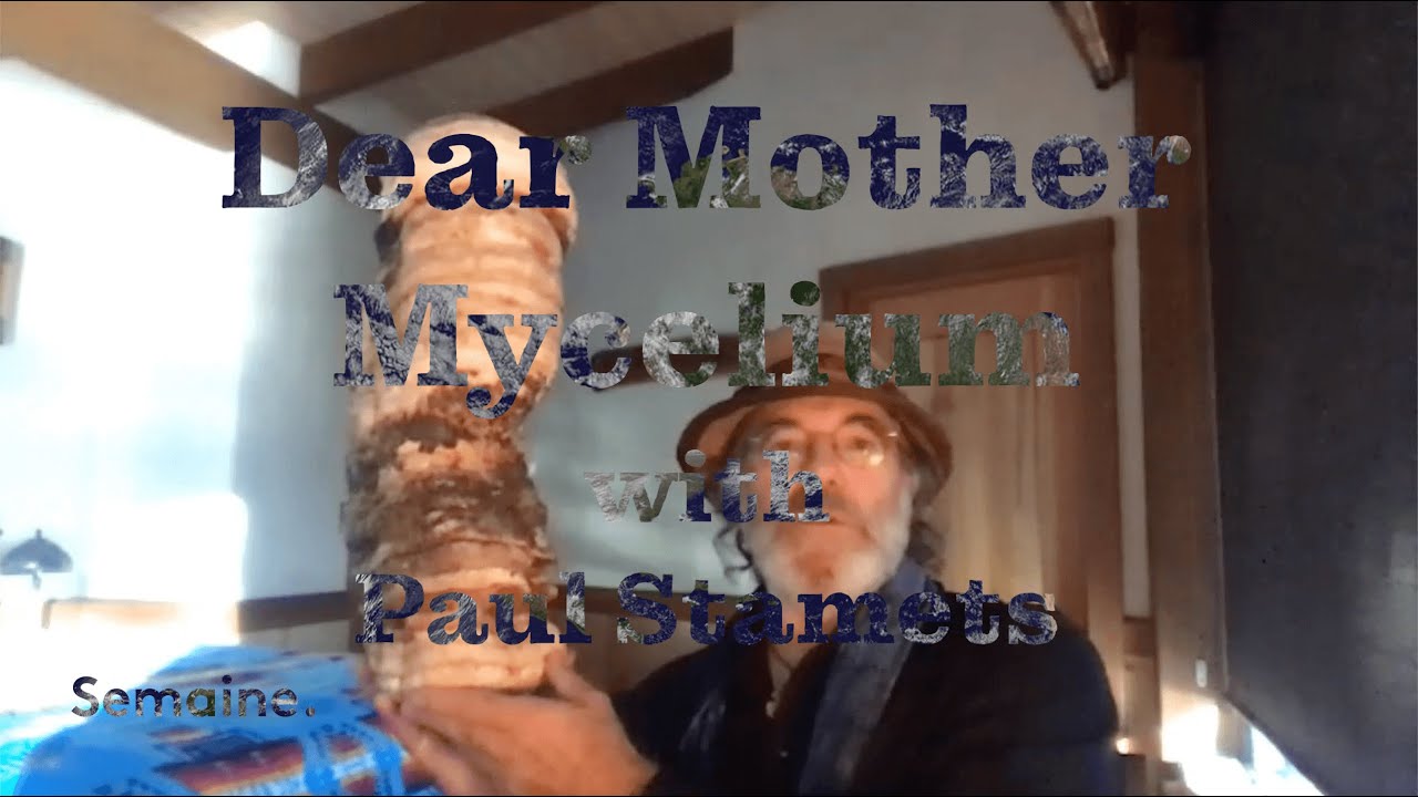 Dear Mother Mycelium with Paul Stamets