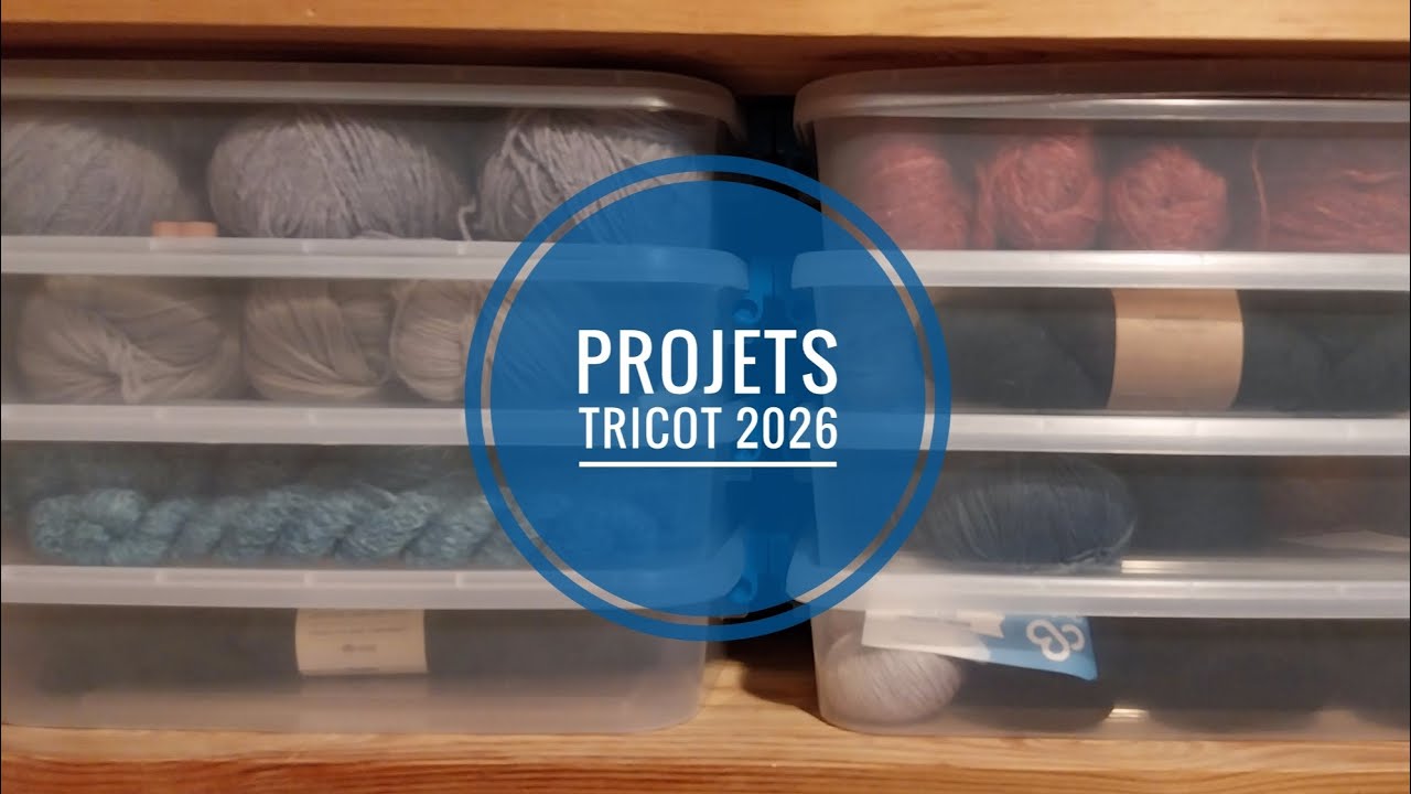 Les projets 2026 - tricot