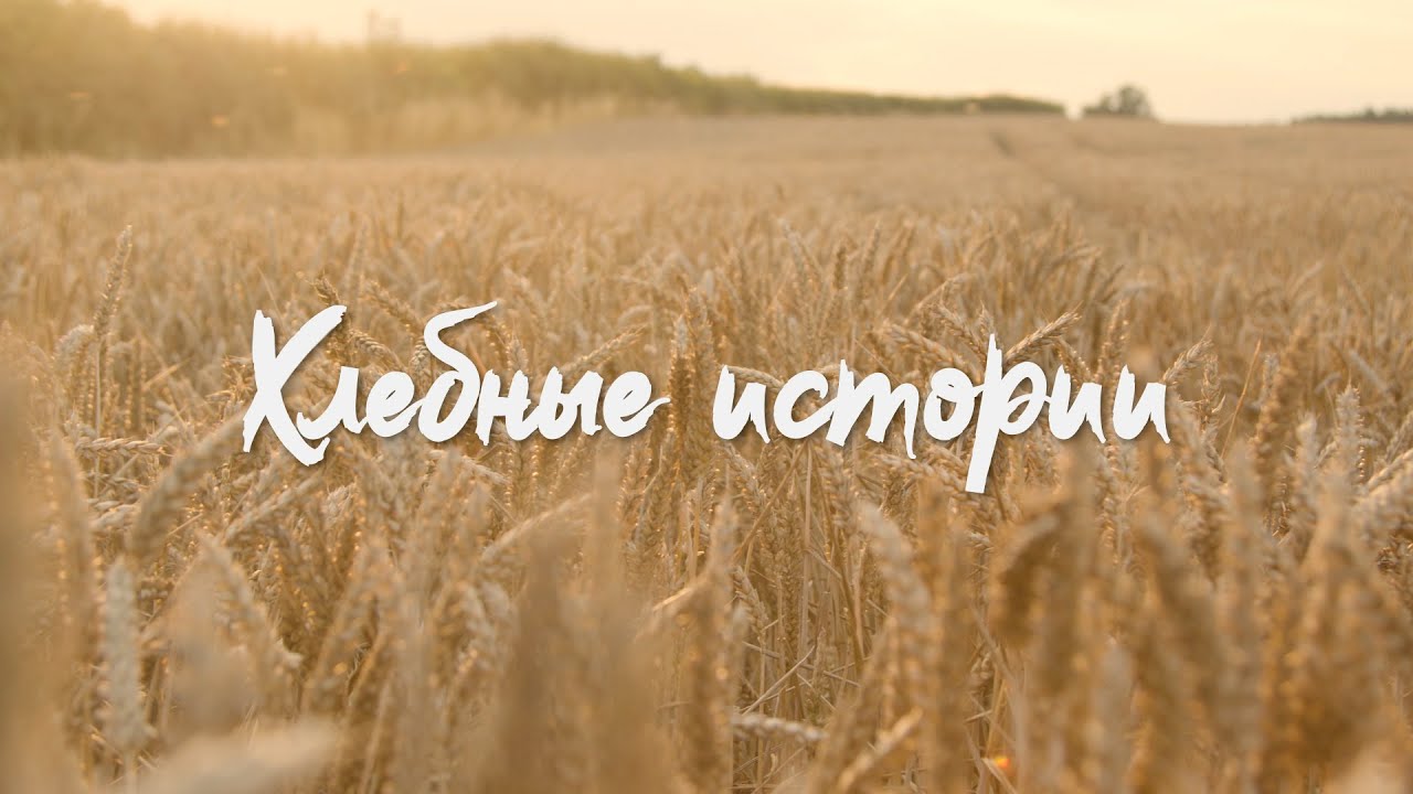 Интернет видеопроект «Хлебные истории»