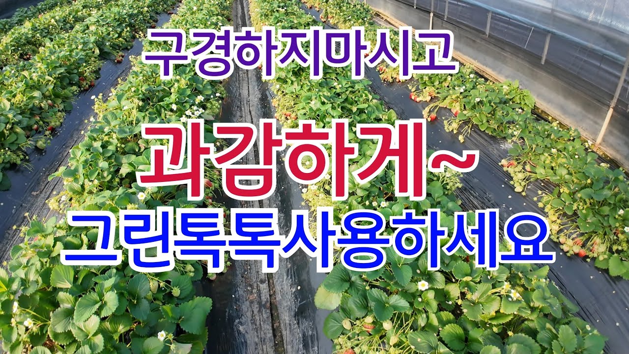 302)지금도 늦지않았습니다. 그린톡톡 사용하세요 모든 식물에 생리활성을 시켜줍니다. #부자농부#신지식농업