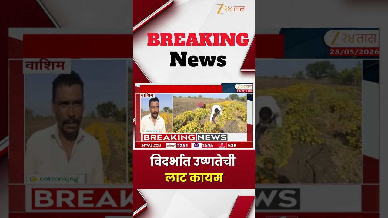 Vidarbha heatwave | विदर्भात उष्णतेची लाट कायम | Zee24Taas