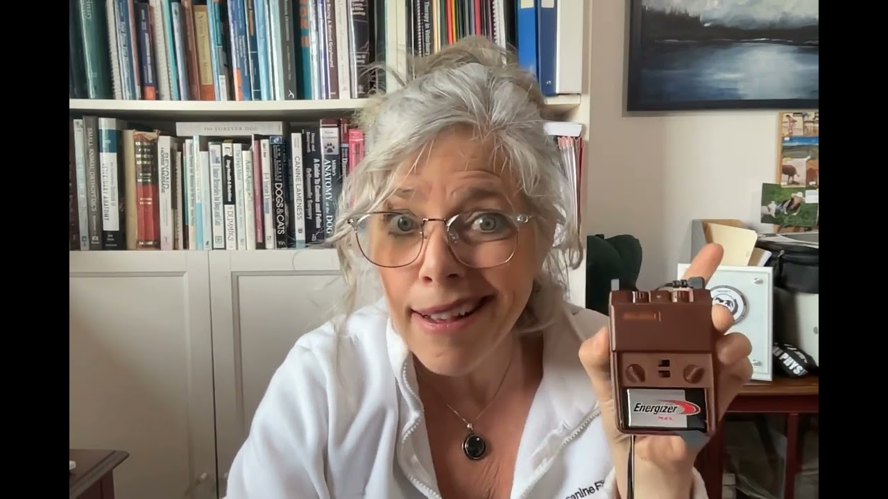 FourLegRehabMinute-ClassificationOfNerveLesions