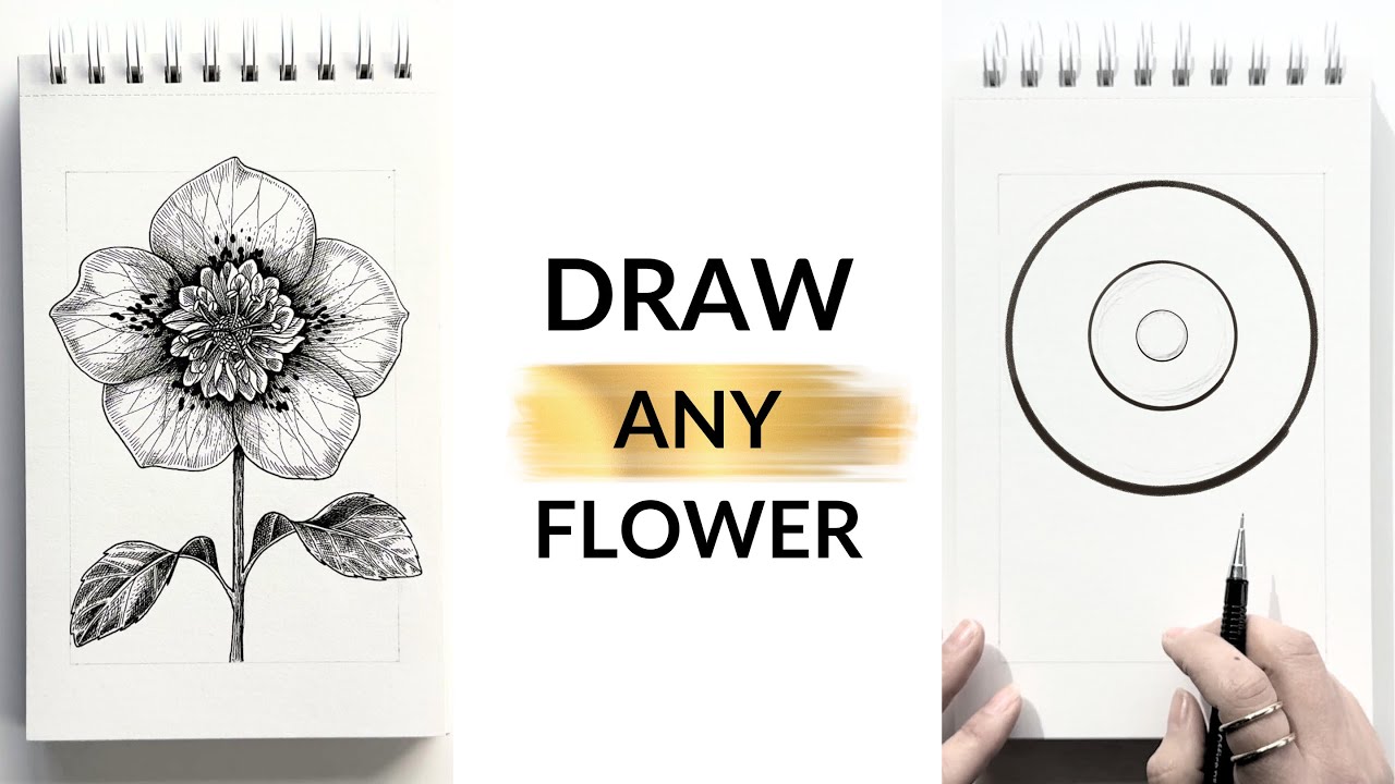 The Secret to Drawing Realistic Flowers with Just Lines | Hellebore Tutorial