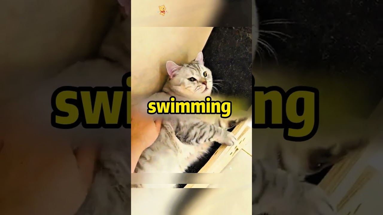 Спасибо за просмотр, спасибо за лайк, желаю вам счастья. #длятебя #истории #fyp