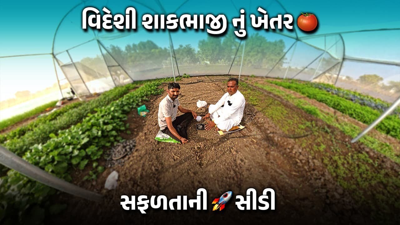 વિદેશી શાકભાજીનું ફાર્મિંગ | Exotic Vegetables Farming