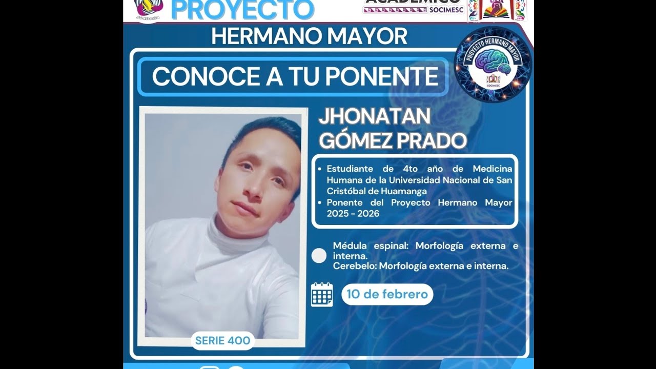 🧠 PHM : Sistema nervioso : Anatomía dela médula espinal y cerebelo (segunda parte) 