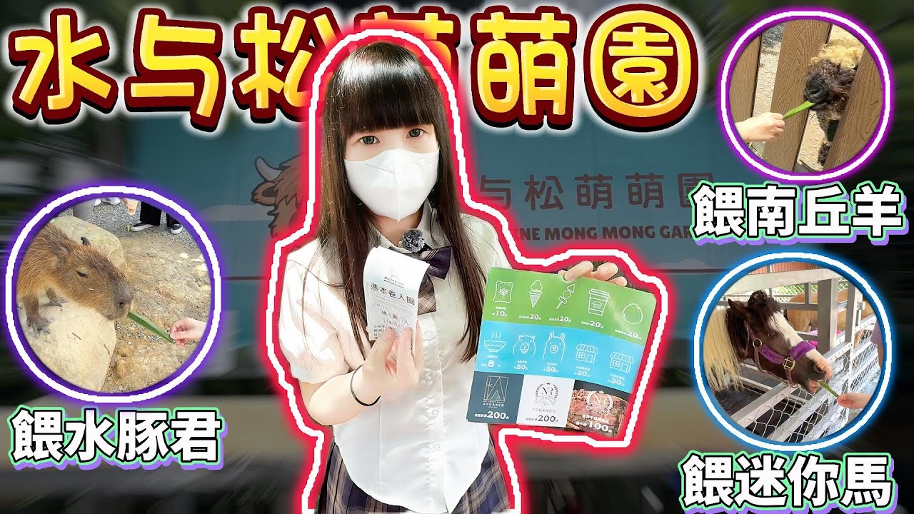 南投最新景點！近距離接觸卡皮巴拉、樹懶、迷你馬、陸龜！水与松萌萌園！【Hi我是蛋蛋】
