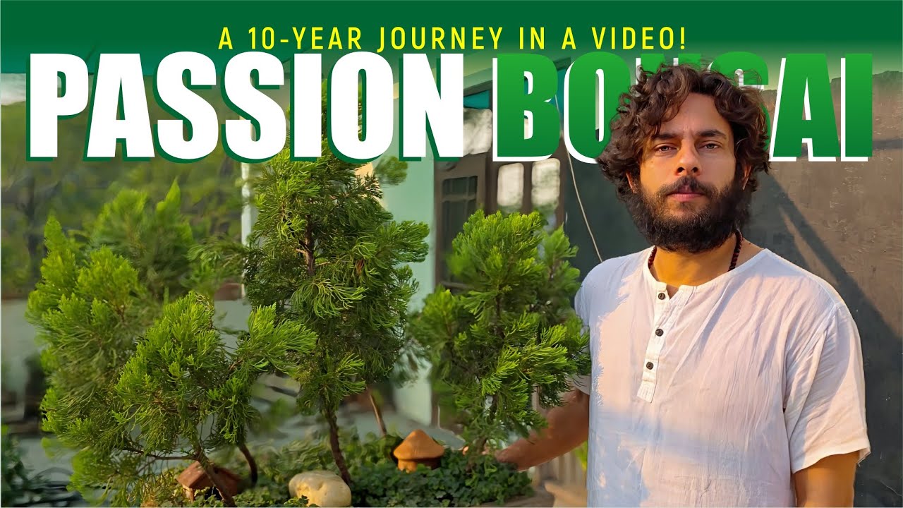 Passion Bonsai Video 159: I’ve Been Growing Bonsai for 10 YEARS — Transformation & Nursery Tour