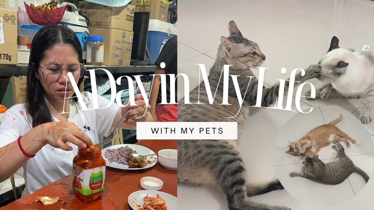 FUR MOM LIFE UPDATE 🇵🇭 | EVERYDAY IS A BUSY DAY PLUS NALIGO SA TUBIG NG KIMCHI HAHA 😂