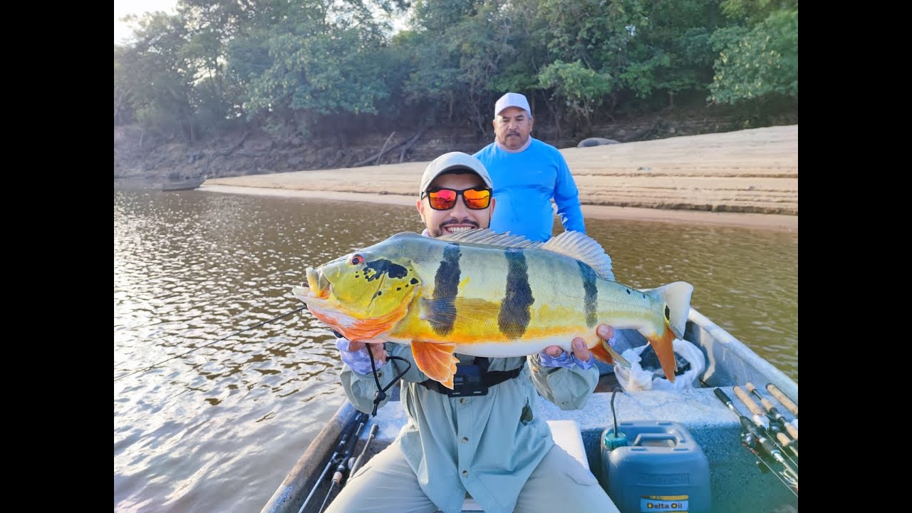 Día de pesca único. Grandes Pavones o Tucunares en los Llanos Orientales - Colombia