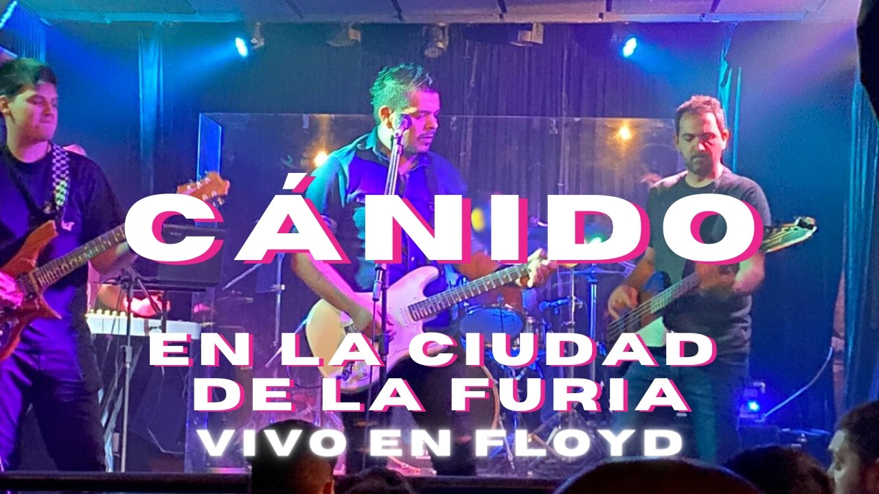Cánido - En la ciudad de la furia