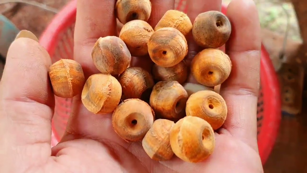 Activities to polish wood beads There are necklaces and wooden bracelets